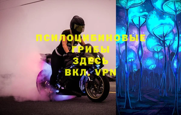mdpv Горнозаводск