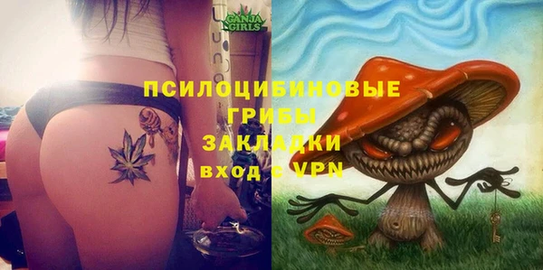 mdpv Вяземский
