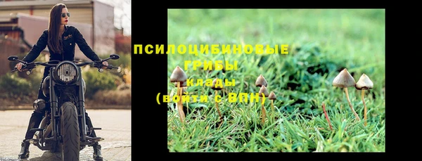 mdpv Горнозаводск