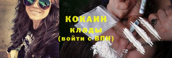 стаф Вязники