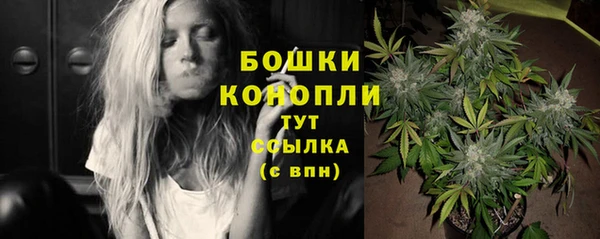 твердый Горно-Алтайск