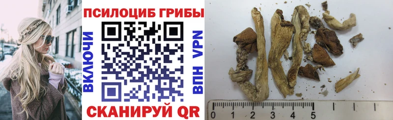 Купить где  Северодвинск  Галлюциногенные грибы мицелий 